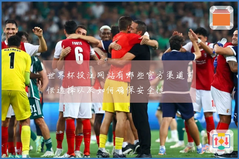 世界杯投注网站有哪些官方渠道可供选择以及如何确保安全性