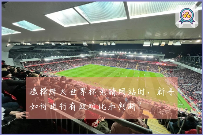 选择烽火世界杯竞猜网站时，新手如何进行有效对比和判断？