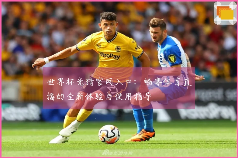 世界杯竞猜官网入口：畅享体育直播的全新体验与使用指导