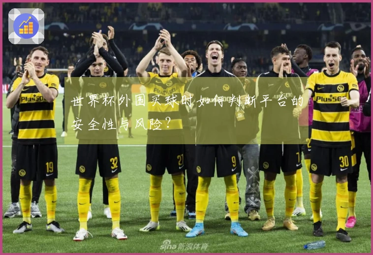 世界杯外围买球时如何判断平台的安全性与风险？