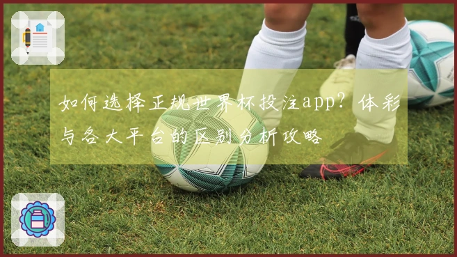 如何选择正规世界杯投注app？体彩与各大平台的区别分析攻略