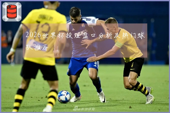 2026世界杯投注盘口分析及热门球队推荐