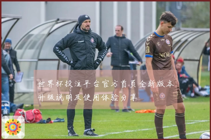 世界杯投注平台官方首页全新版本升级说明及使用体验分享