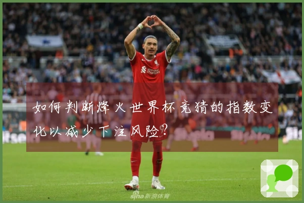 如何判断烽火世界杯竞猜的指数变化以减少下注风险？