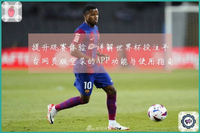 提升观赛体验,详解世界杯投注平台网页版登录的APP功能与使用指南