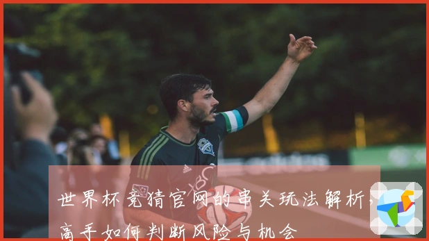 世界杯竞猜官网的串关玩法解析，高手如何判断风险与机会