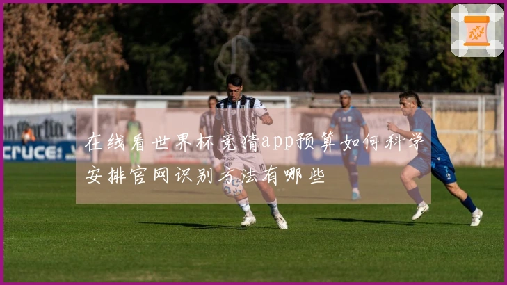 在线看世界杯竞猜app预算如何科学安排官网识别方法有哪些