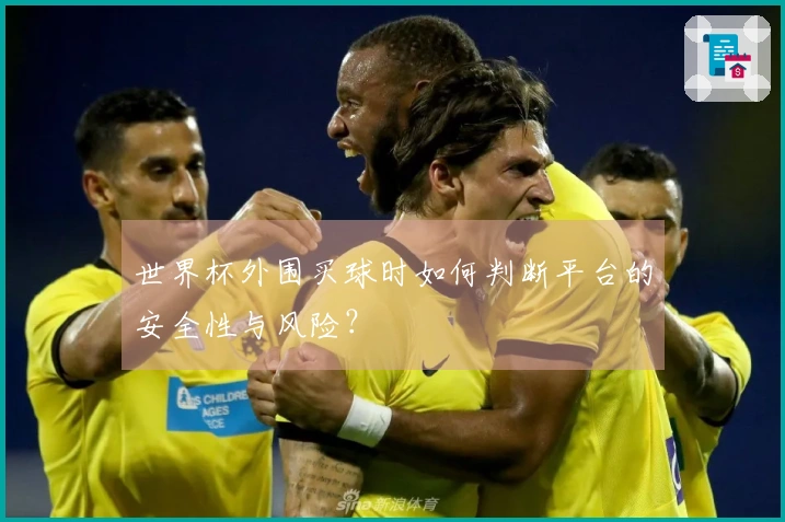 世界杯外围买球时如何判断平台的安全性与风险？