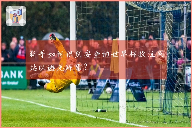 新手如何识别安全的世界杯投注网站以避免踩雷？