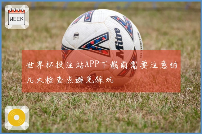 世界杯投注站APP下载前需要注意的几大检查点避免踩坑