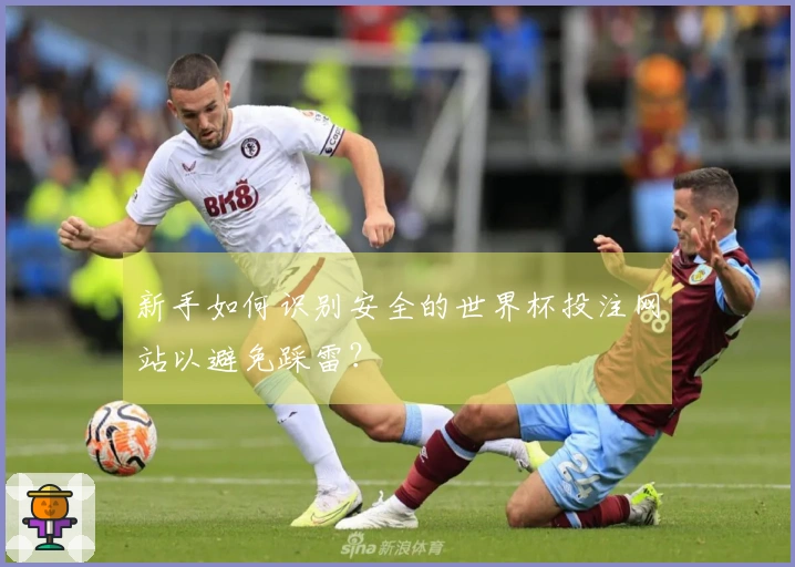 新手如何识别安全的世界杯投注网站以避免踩雷？