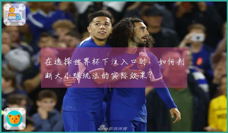 在选择世界杯下注入口时，如何判断大小球玩法的实际效果？