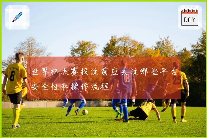 世界杯决赛投注前应关注哪些平台安全性和操作流程