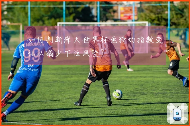 如何判断烽火世界杯竞猜的指数变化以减少下注风险？