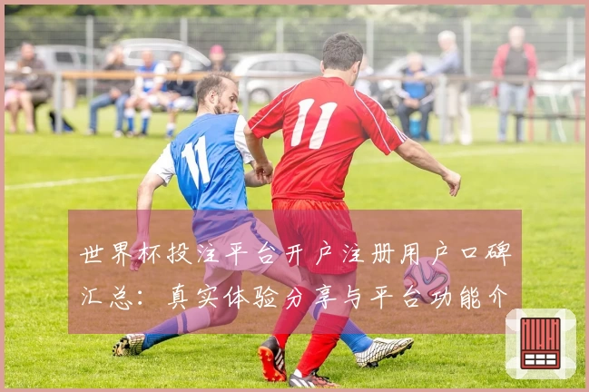 世界杯投注平台开户注册用户口碑汇总:真实体验分享与平台功能介绍
